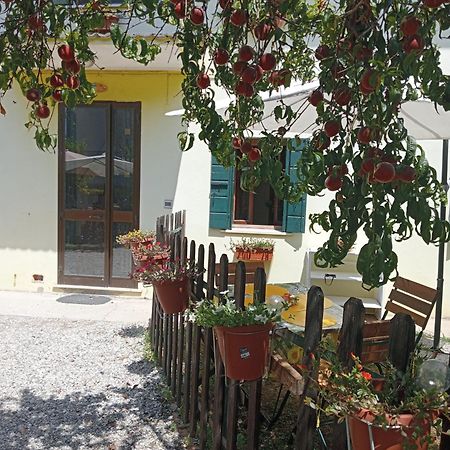 Appartamento Malcontenta Mira Bagian luar foto