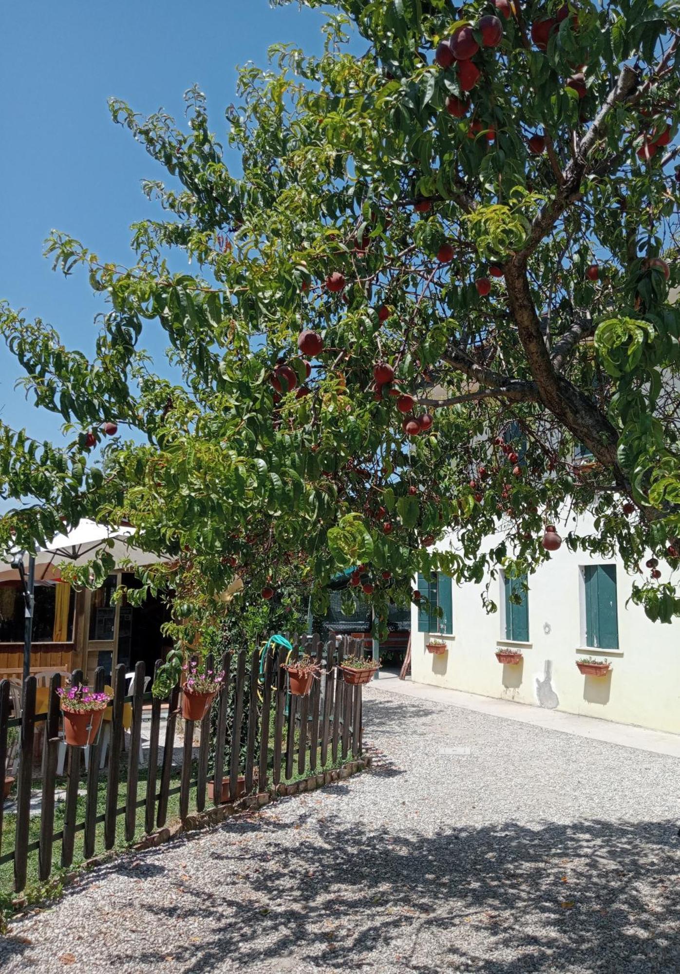 Appartamento Malcontenta Mira Bagian luar foto